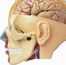 长春试管婴儿助孕机构哪家比较好？长春助孕公司哪家正规合法？