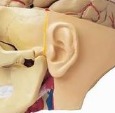 泰国高龄做三代试管婴儿成功率和3个医院价格一览