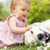 试管移植后前三天正确睡姿，移植后需要卧床休息几天为最佳