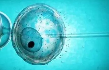 2026广东省韶关市十佳助孕机构排名名单，这些机构都很好