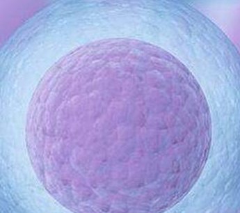 上海试管助孕的流程及费用介绍，试管助孕哪家医院成功率较高