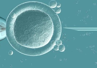 试管婴儿促排卵取几个好？30岁+取7个卵泡好吗？