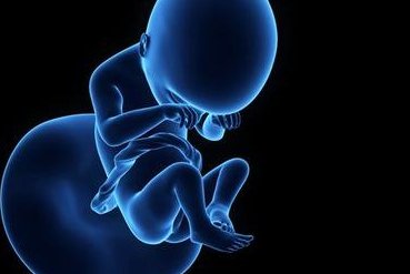 玉林市妇幼保健院洗精费用多少钱？试管婴儿移植成功后检查流程有哪些？