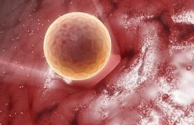 赣州公立医院试管婴儿的费用与成功概率